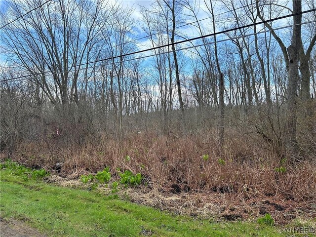 V/L Bell Ave, Ellery, NY 14701 - photo 3