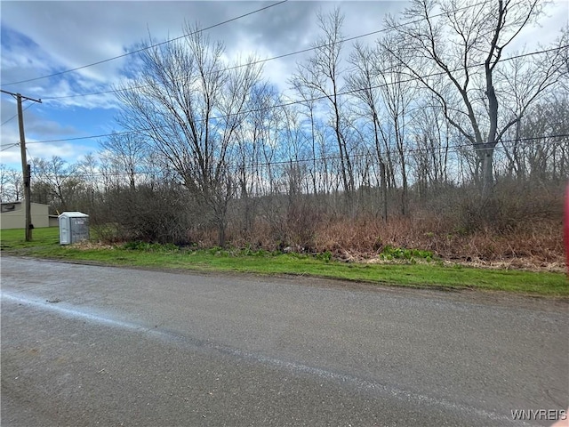 V/L Bell Ave, Ellery, NY 14701 - photo 5