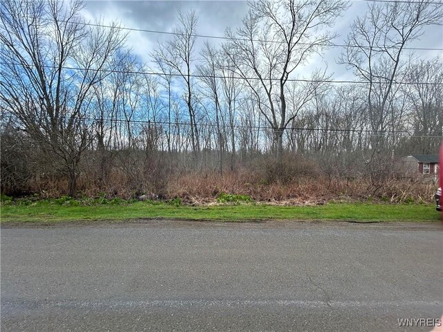 V/L Bell Ave, Ellery, NY 14701 - photo 6