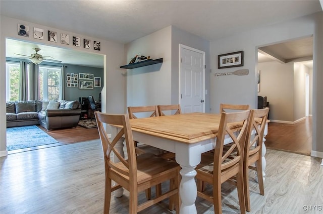 4973 Wilder Rd, Ellisburg, NY 13605 - dining room with light wood finished floors, baseboards, and ceiling fan