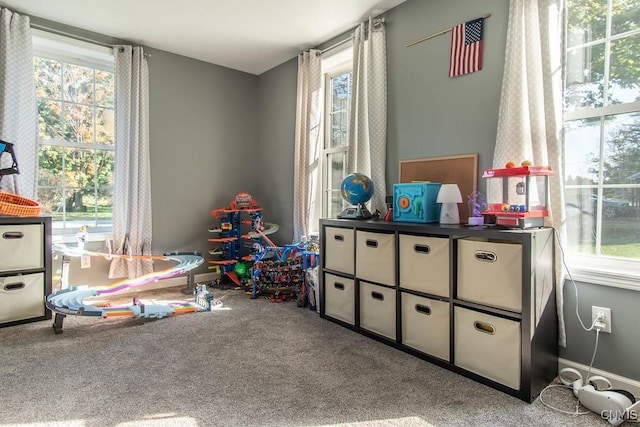 4973 Wilder Rd, Ellisburg, NY 13605 - playroom featuring carpet and a healthy amount of sunlight