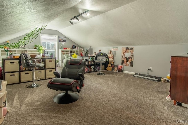 4973 Wilder Rd, Ellisburg, NY 13605 - playroom featuring rail lighting, carpet floors, lofted ceiling, and a textured ceiling
