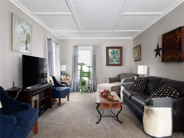 187 Bishop St, Watertown City, NY 13601 - photo 14