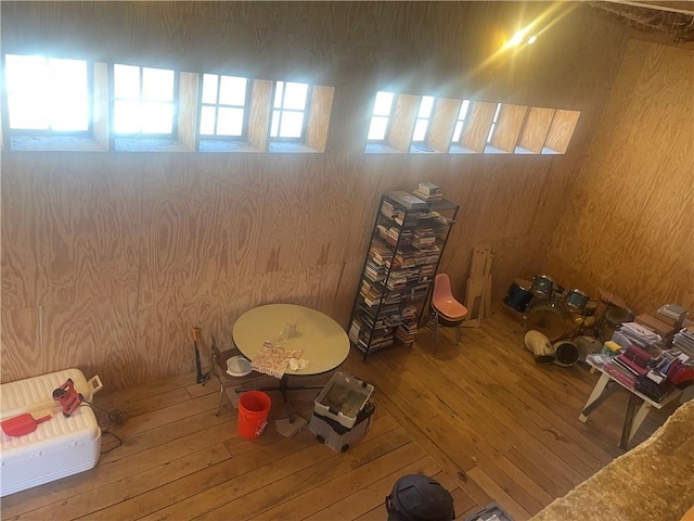 misc room with a healthy amount of sunlight and wood-type flooring