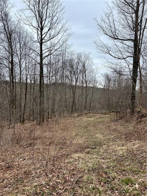 323 County Road 19, Preston, NY 13815