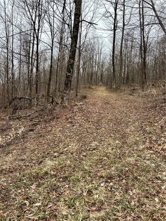 323 County Road 19, Preston, NY 13815