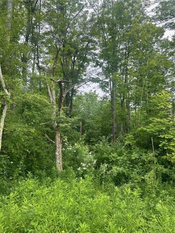 323 County Road 19, Preston, NY 13815