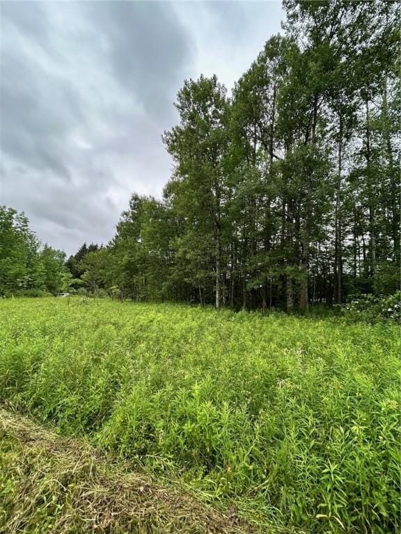 323 County Road 19, Preston, NY 13815