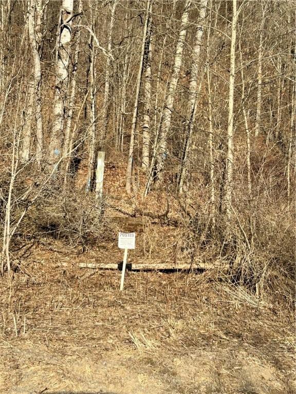 512 County Road 18, Butternuts, NY 13809 - photo 13