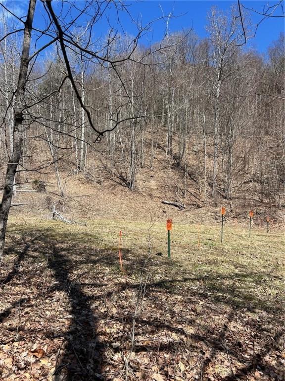 512 County Road 18, Butternuts, NY 13809 - photo 15