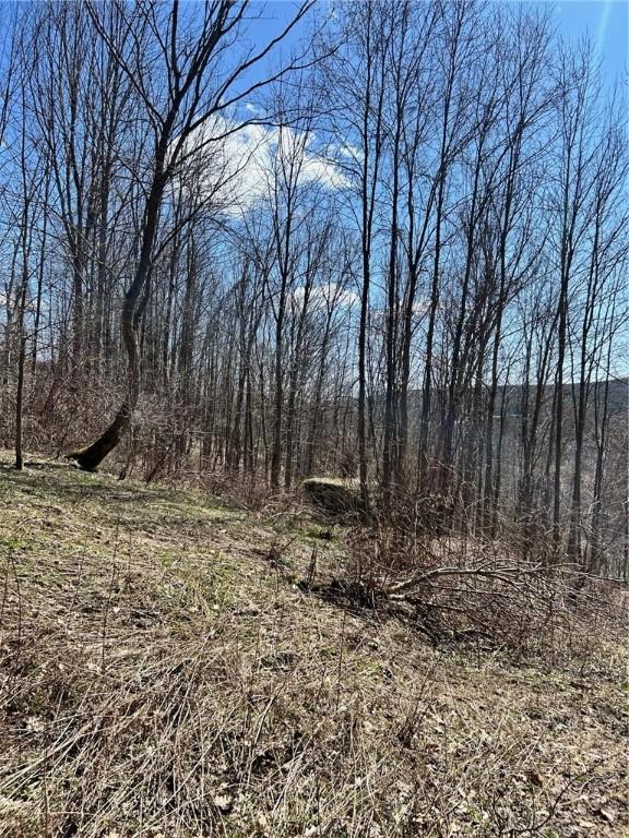 512 County Road 18, Butternuts, NY 13809 - photo 9