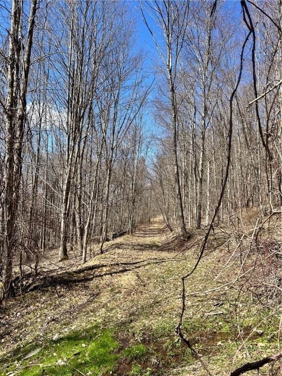512 County Road 18, Butternuts, NY 13809 - photo 16