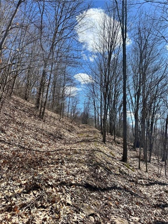 512 County Road 18, Butternuts, NY 13809 - photo 17