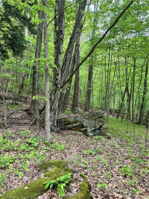 512 County Road 18, Butternuts, NY 13809 - photo 1