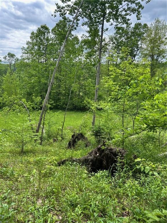 512 County Road 18, Butternuts, NY 13809 - photo 3