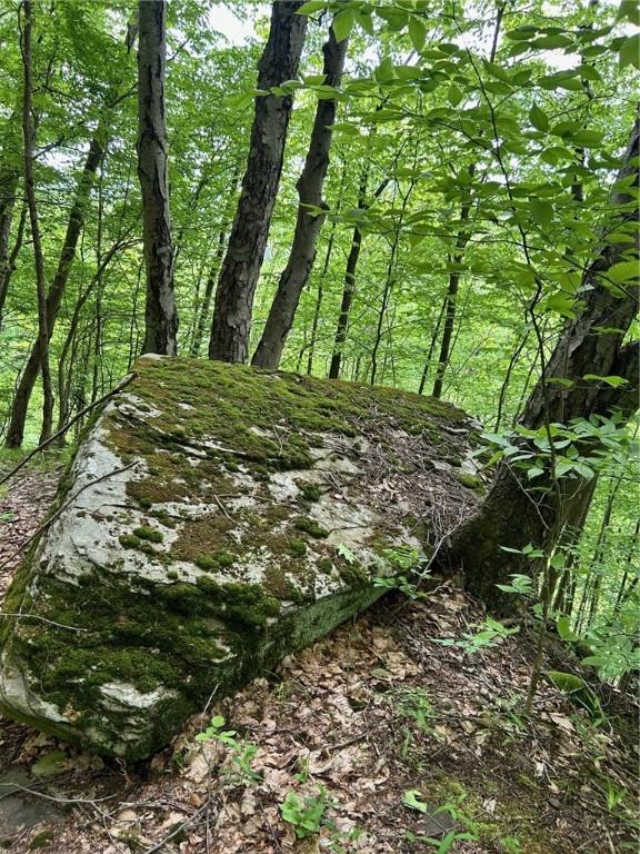 512 County Road 18, Butternuts, NY 13809 - photo 19