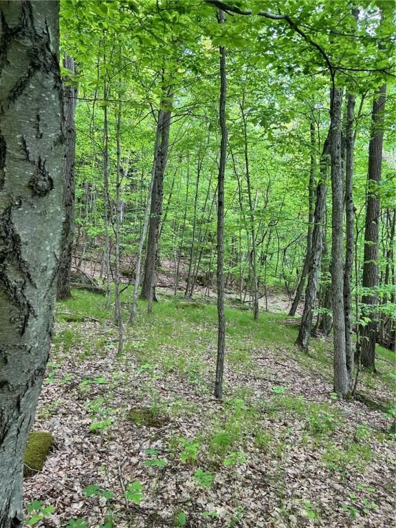 512 County Road 18, Butternuts, NY 13809 - photo 20