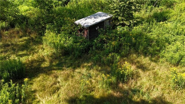 390 Hall Rd, Afton, NY 13730 - photo 6