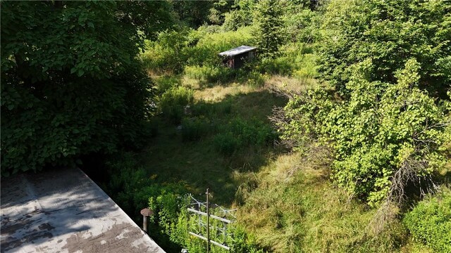 390 Hall Rd, Afton, NY 13730 - photo 7