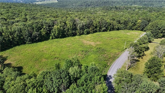 390 Hall Rd, Afton, NY 13730 - photo 2