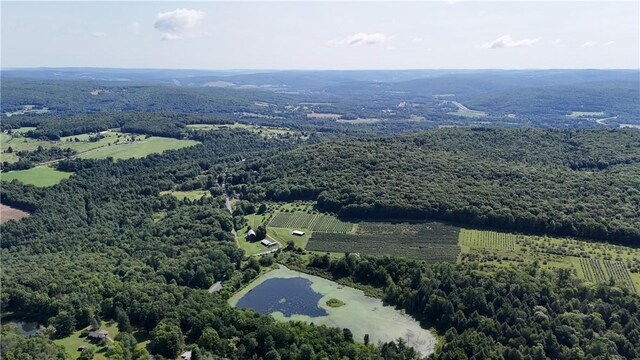 390 Hall Rd, Afton, NY 13730 - photo 3