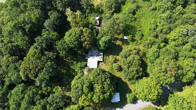 390 Hall Rd, Afton, NY 13730 - photo 4