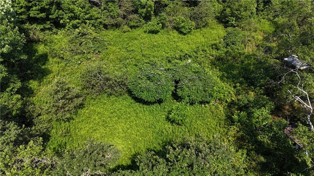 390 Hall Rd, Afton, NY 13730 - photo 9
