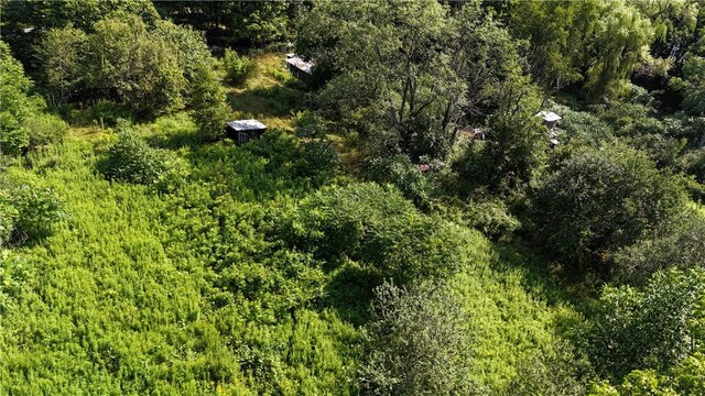 390 Hall Rd, Afton, NY 13730 - photo 10