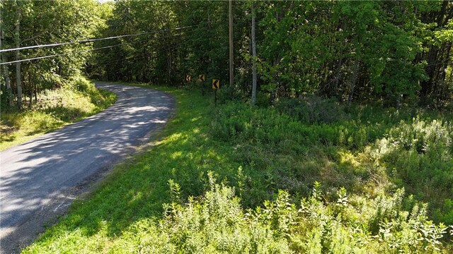 390 Hall Rd, Afton, NY 13730 - photo 11