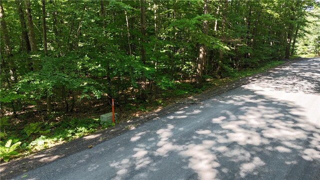 390 Hall Rd, Afton, NY 13730 - photo 12