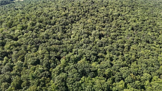 390 Hall Rd, Afton, NY 13730 - photo 13