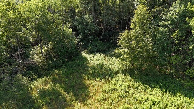 390 Hall Rd, Afton, NY 13730 - photo 14