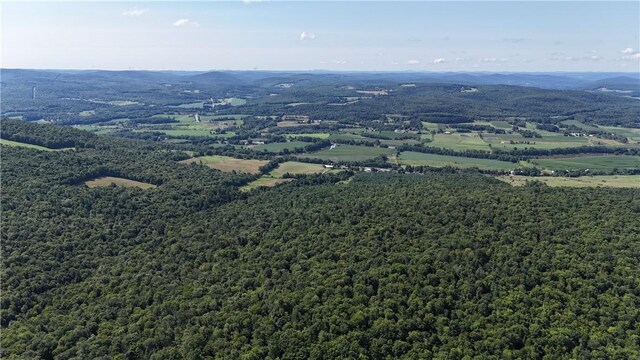 390 Hall Rd, Afton, NY 13730 - photo 15