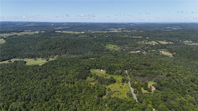 390 Hall Rd, Afton, NY 13730 - photo 16