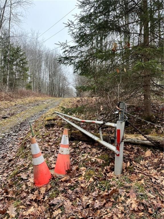 0 State Highway 8, Deposit, NY 13754 - photo 20