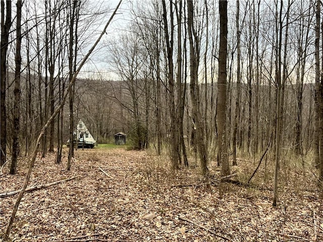 view of nature with a forest view