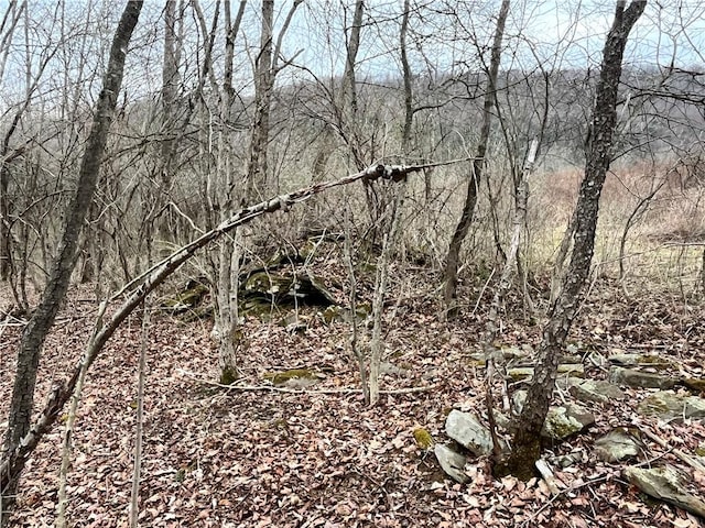 view of nature