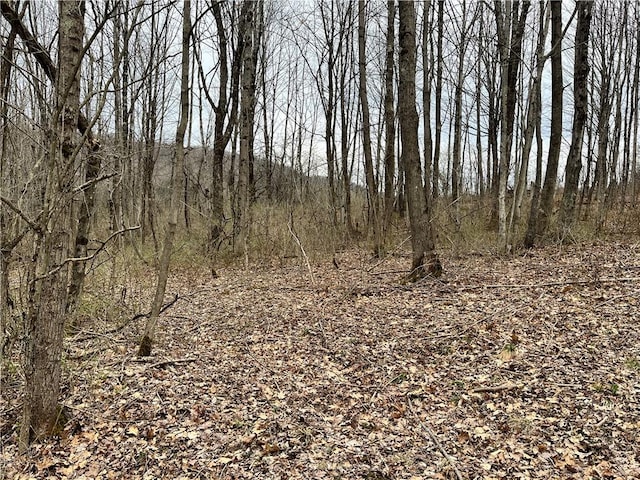 view of nature featuring a view of trees