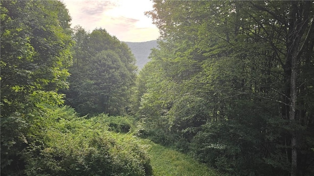 0 State Highway 8, Deposit, NY 13754 - photo 2