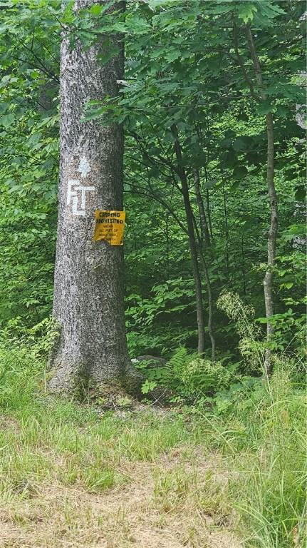 0 State Highway 8, Deposit, NY 13754 - photo 4