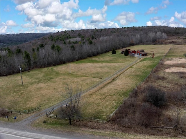 7061 Velie Rd, Bath, NY 14879 - drone / aerial view featuring a wooded view and a rural view