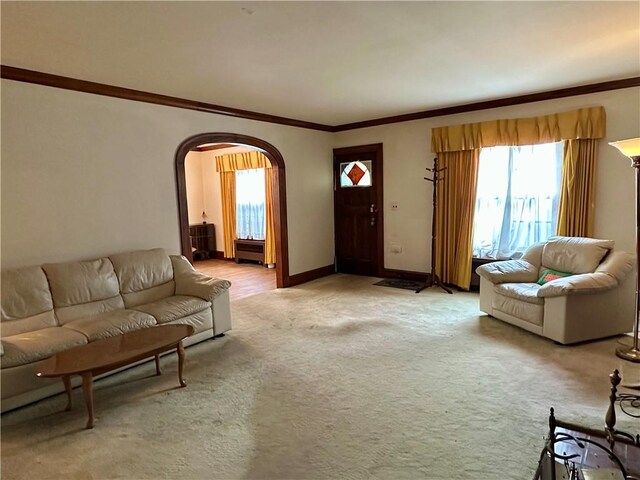 174 N Bennett St, Bradford-City, PA 16701 - living room featuring arched walkways, healthy amount of natural light, crown molding, light carpet, and baseboards