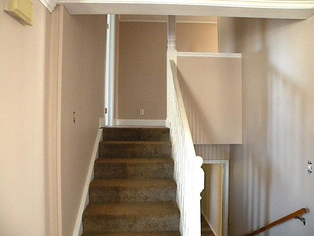 1923 Riverview Dr, Willing, NY 14895 - photo 13