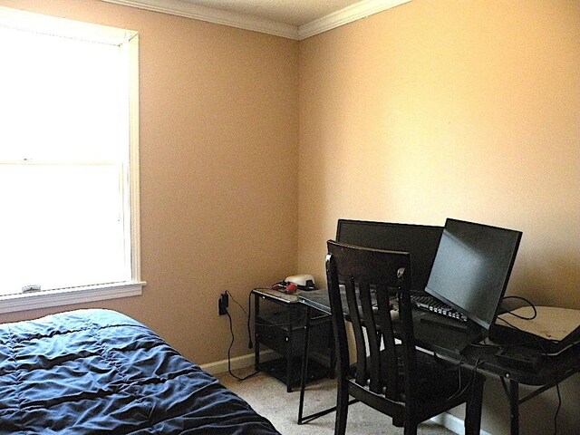 1923 Riverview Dr, Willing, NY 14895 - photo 30