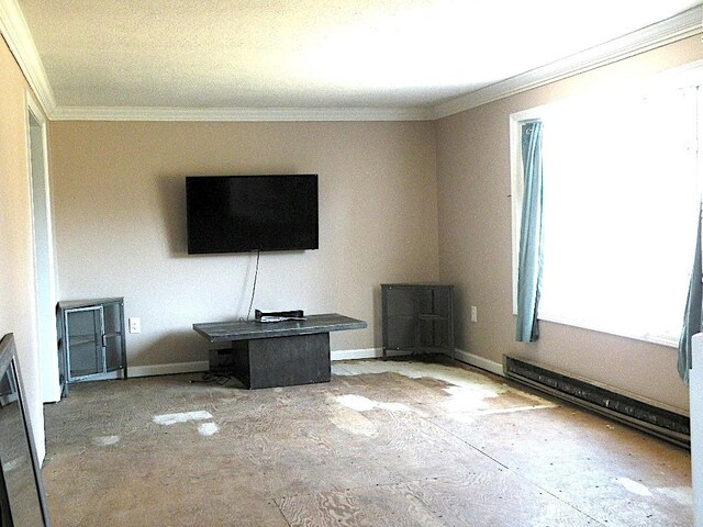 1923 Riverview Dr, Willing, NY 14895 - photo 17