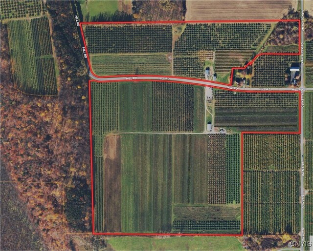 6258 Hill Rd, Sodus, NY 14551 - photo 24