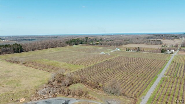 6258 Hill Rd, Sodus, NY 14551 - photo 8