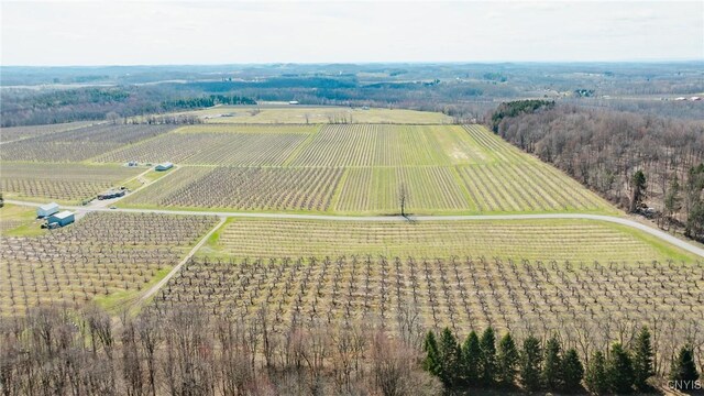 6258 Hill Rd, Sodus, NY 14551 - photo 10
