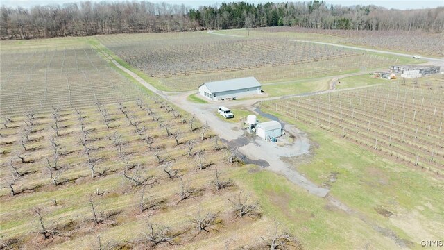 6258 Hill Rd, Sodus, NY 14551 - photo 11