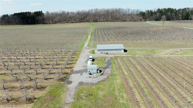 6258 Hill Rd, Sodus, NY 14551 - photo 14